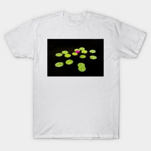 Lily Pads on Black Water T-Shirt